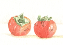 DIOSPEROS