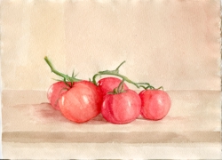 POMODORI