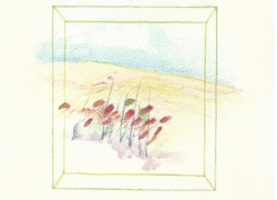 studio etichetta
