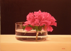 peonia olio su tela 35 x 45