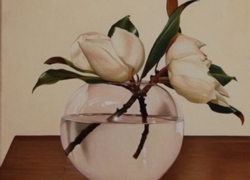 gloria effimera olio su tela 40 x 50