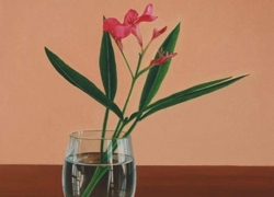 internum cum nerium oleander olio su tela 40 x 40