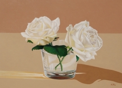 bianco d'estate olio su tela 40 x 50