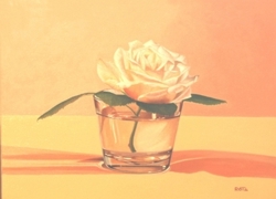 rosa del mattino olio su tela 24 x 30