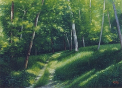 il pioppeto olio su tela 50 x 60