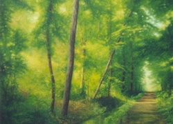 dopo il temporale olio su tela 60 x 70
