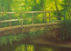 passerella nel bosco olio su tela 60 x 70