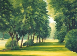 riflessi sul prato su tela 40 x 50
