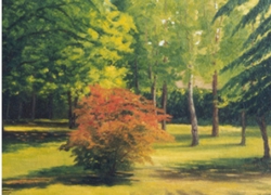 acero rosso olio su tela 35 x 45